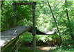 Footbridge Crossing over a Small Creek in  a Leafy Forest Area