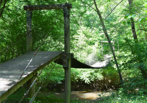 Footbridge Crossing over a Small Creek in  a Leafy Forest Area