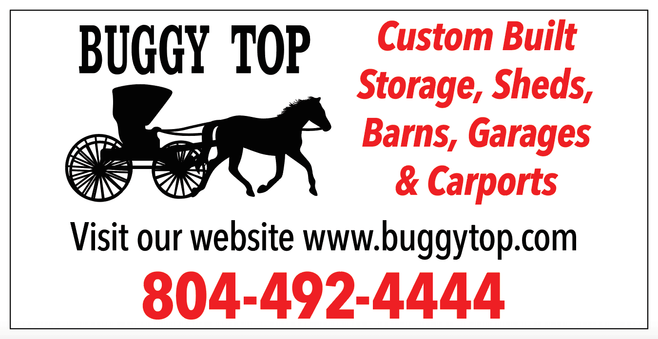 Buggy top logo (2)